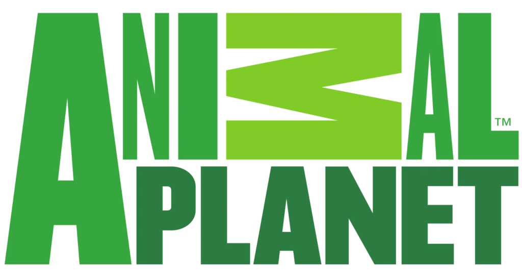 animal planet animal planet